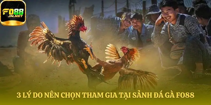 Những lợi thế khi tham gia Đá gà Fo88