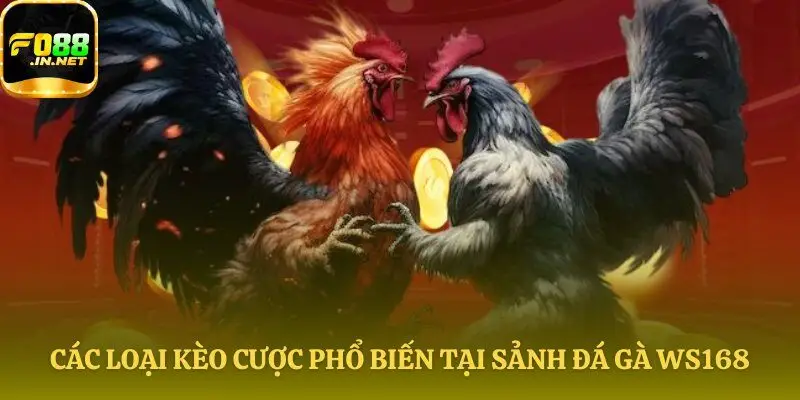 Các lựa chọn cược tại Đá gà WS168