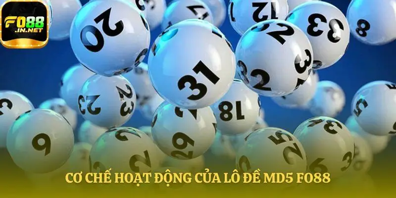 Các bước hoạt động công khai và minh bạch