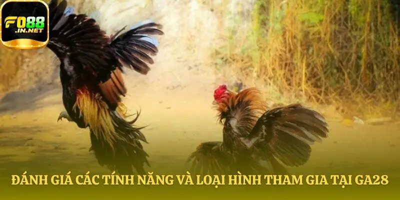 Tổng quan các tiện ích và loại hình đặt tiền