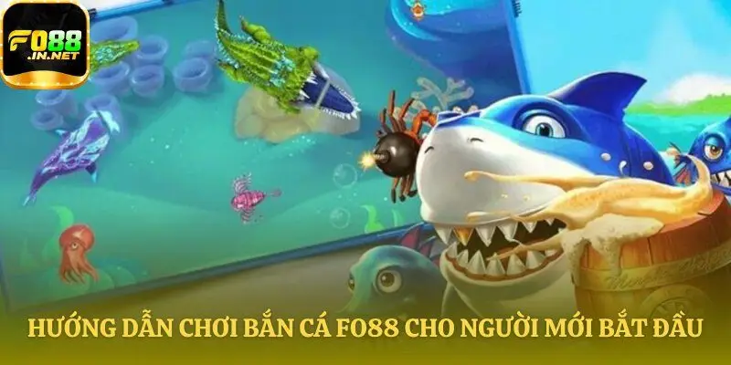 Các bước tham gia săn cá cho người mới