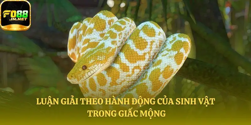 Giải mã hành vi của loài vật này trong mộng