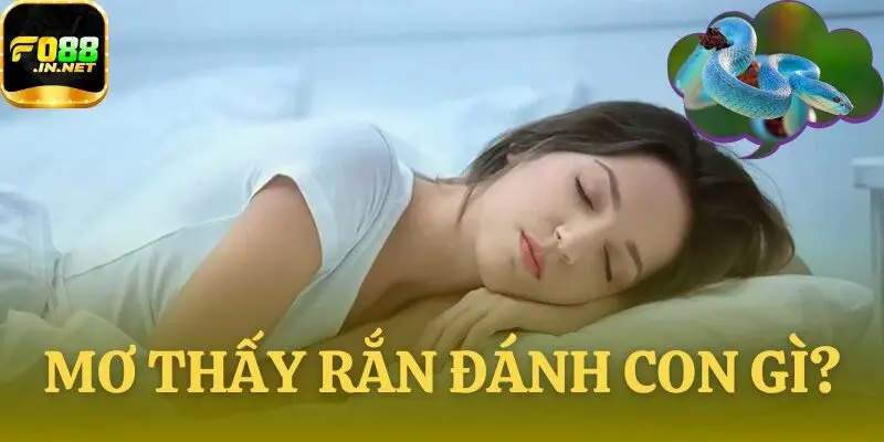 Mơ Thấy Rắn Đánh Con Gì?